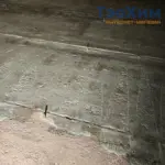 Элакор МБ5 — бетоноконтакт под стяжку — изображение 2